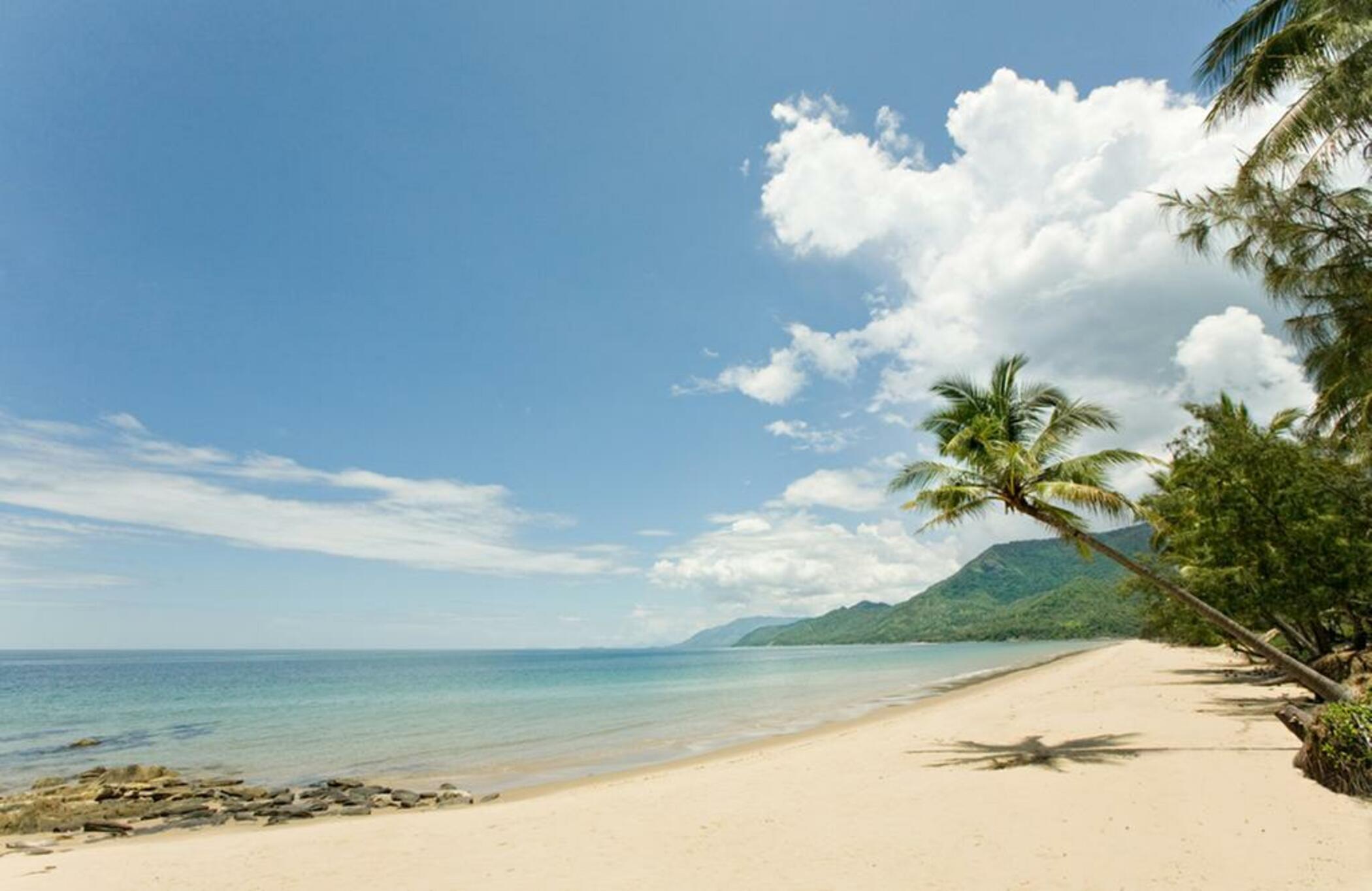 Thala Beach Nature Reserve Port Douglas Exteriér fotografie