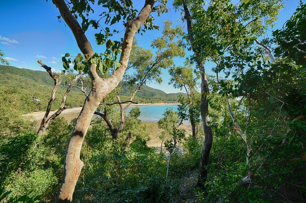Thala Beach Nature Reserve Port Douglas Exteriér fotografie