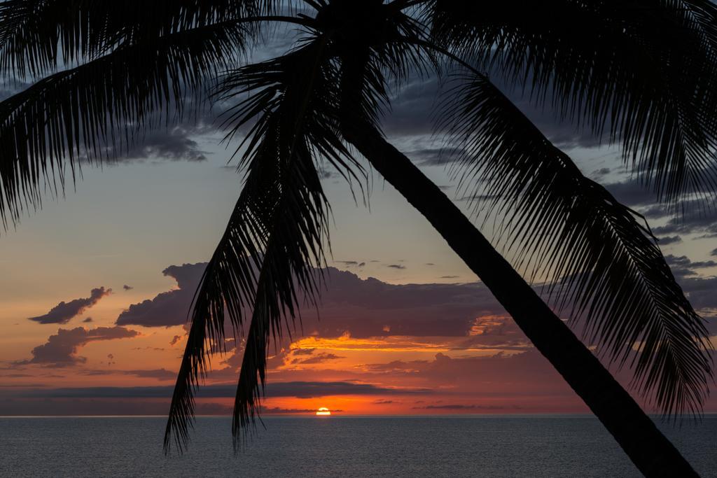 Thala Beach Nature Reserve Port Douglas Exteriér fotografie