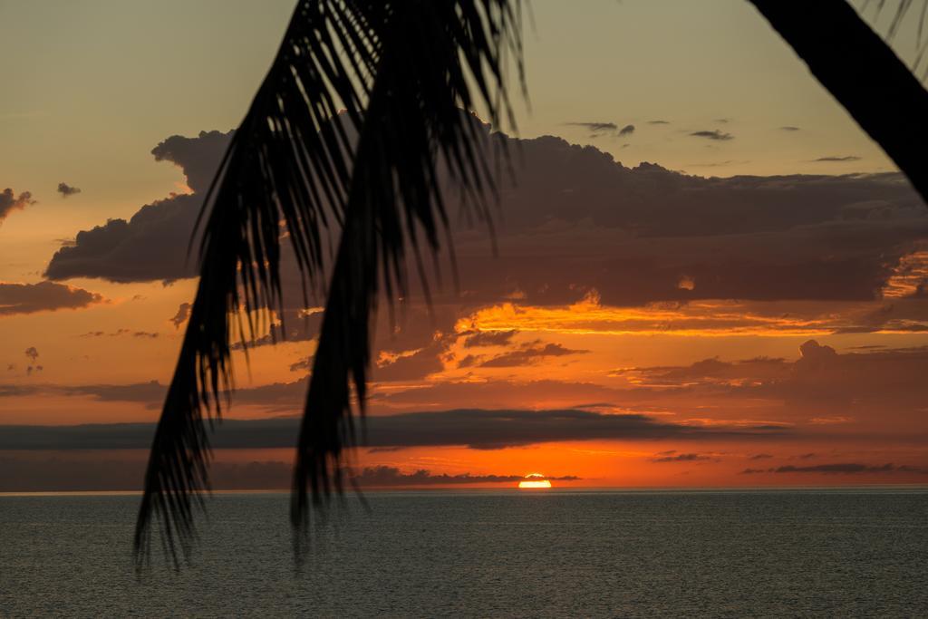 Thala Beach Nature Reserve Port Douglas Exteriér fotografie