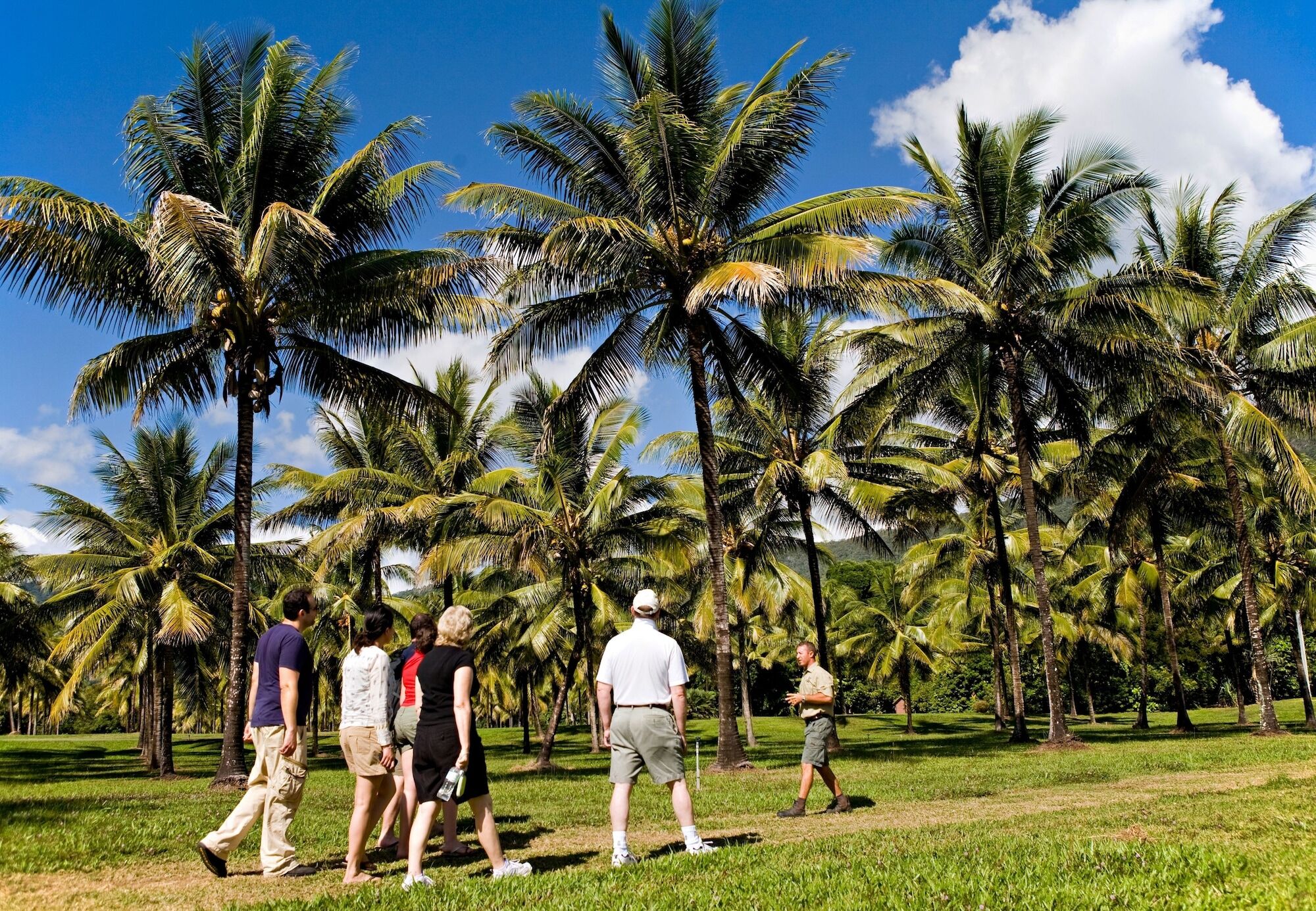 Thala Beach Nature Reserve Port Douglas Exteriér fotografie